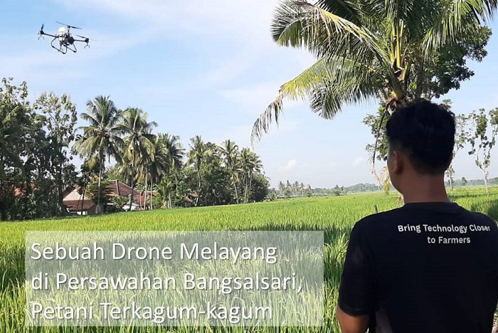 Sebuah Drone Melayang di Persawahan Bangsalsari, Petani Terkagum-kagum